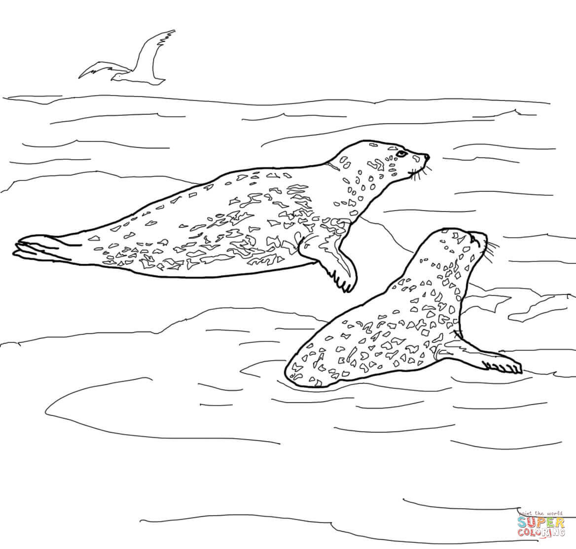 Two leopard seals coloring page free printable coloring pages
