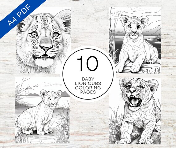 Baby lion cubs coloring pages printable pdf pages a coloring sheets for stress relief relaxation