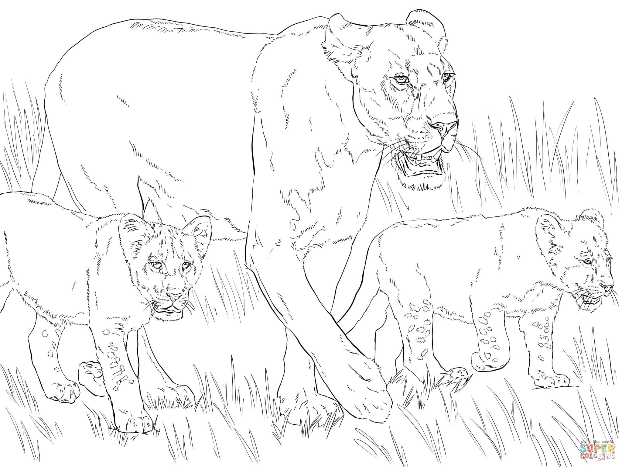 Lioness with cubs coloring page free printable coloring pages
