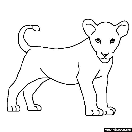 Baby lion coloring page lion coloring pages tiger art drawing animal coloring books