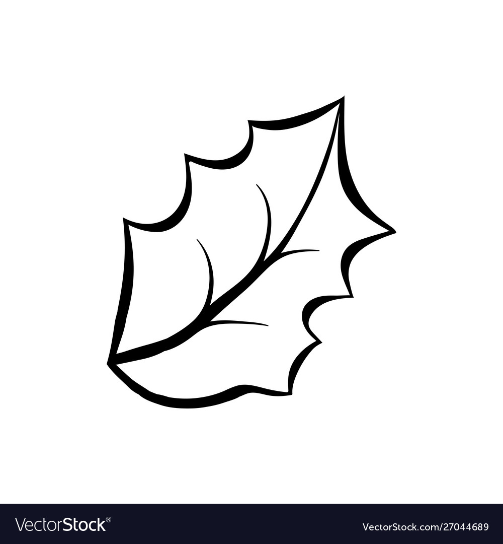 Mistletoe leaf coloring book royalty free vector image