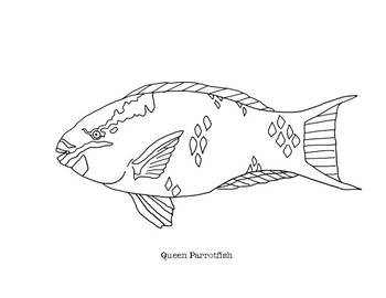 Queen parrotfish coloring page coloring pages outline drawings love drawings