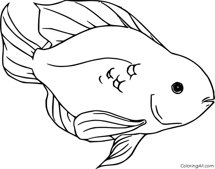 Free printable parrotfish coloring pages in vector format easy to print from any device and automatically fit any paâ coloring pages fish coloring page color