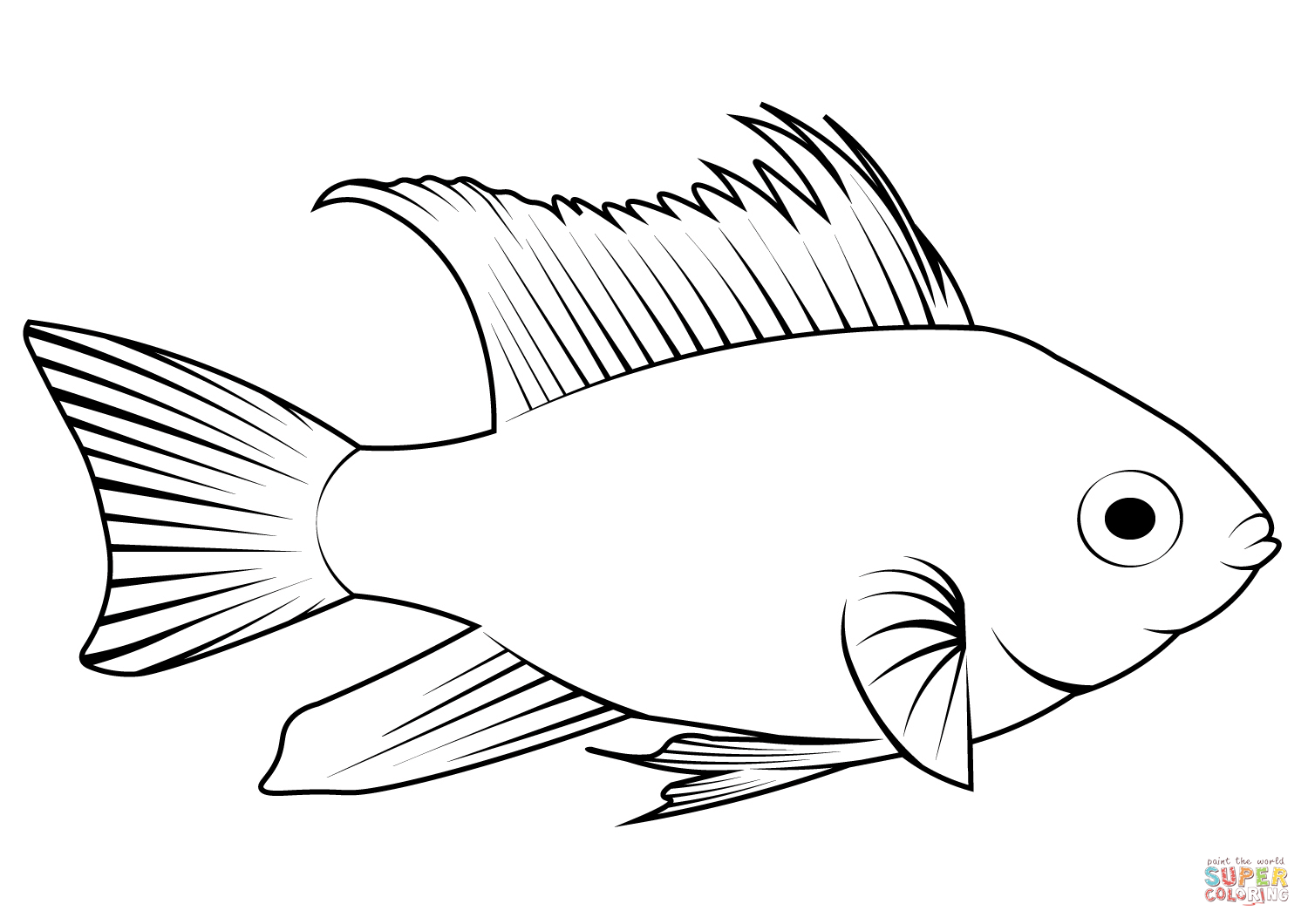 Ram cichlid mikrogeophagus ramirezi coloring page free printable coloring pages