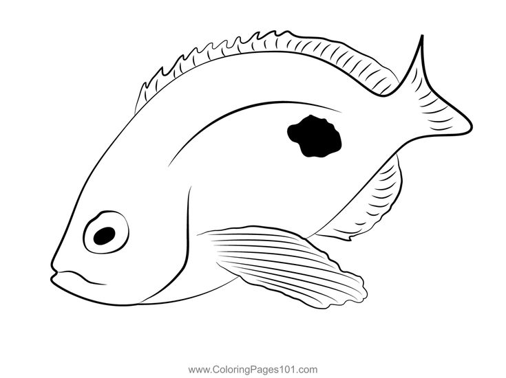 Perch butterfly coloring page butterfly coloring page coloring pages printable coloring pages