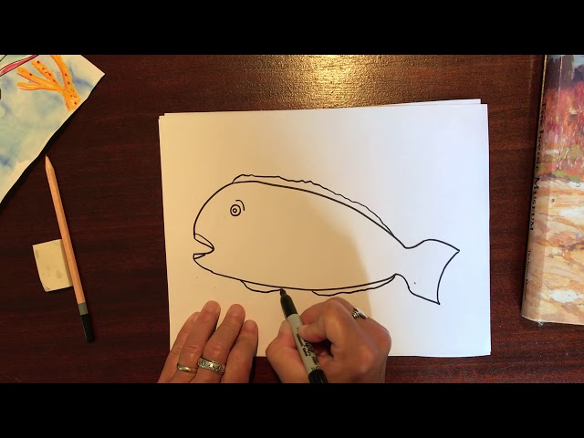 Siple drawing of a parrot fish