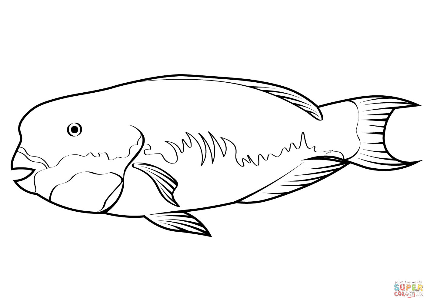 Green humphead parrotfish bolbometopon muricatum coloring page free printable coloring pages