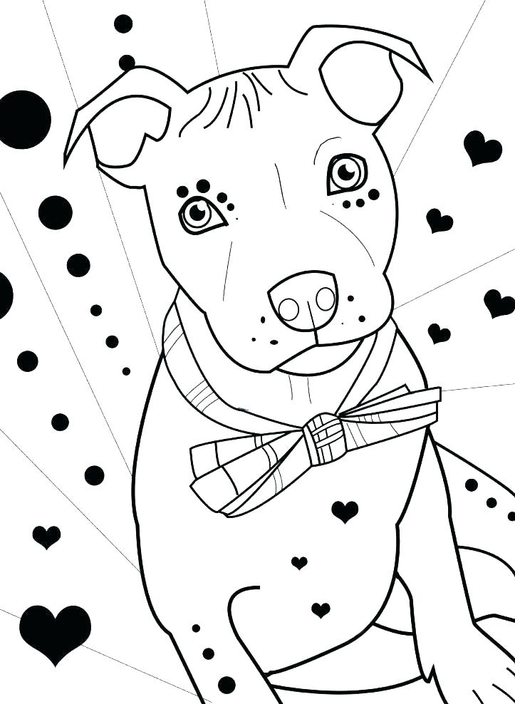 Pitbull coloring pages