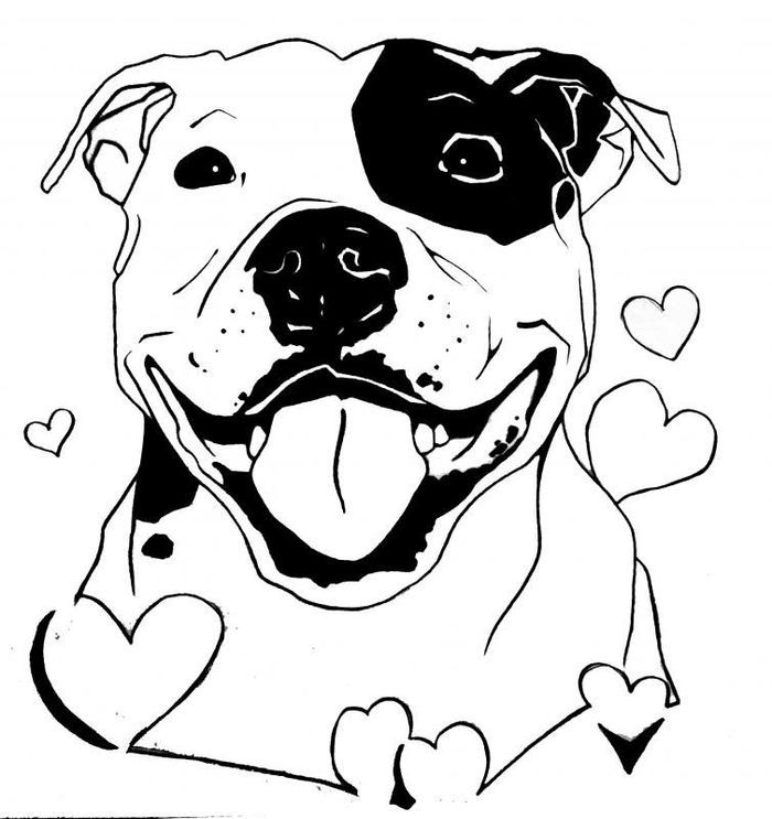 Pitbull coloring pages pdf