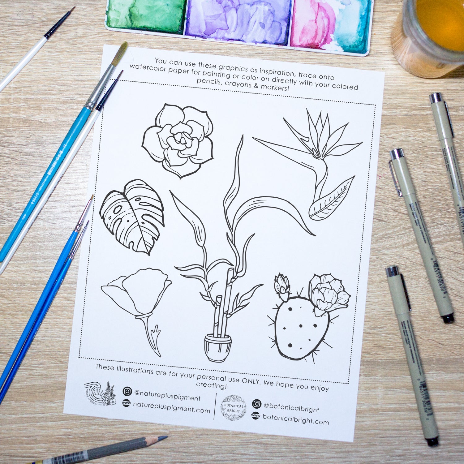 Free plant paint nite coloring sheets â botanical bright