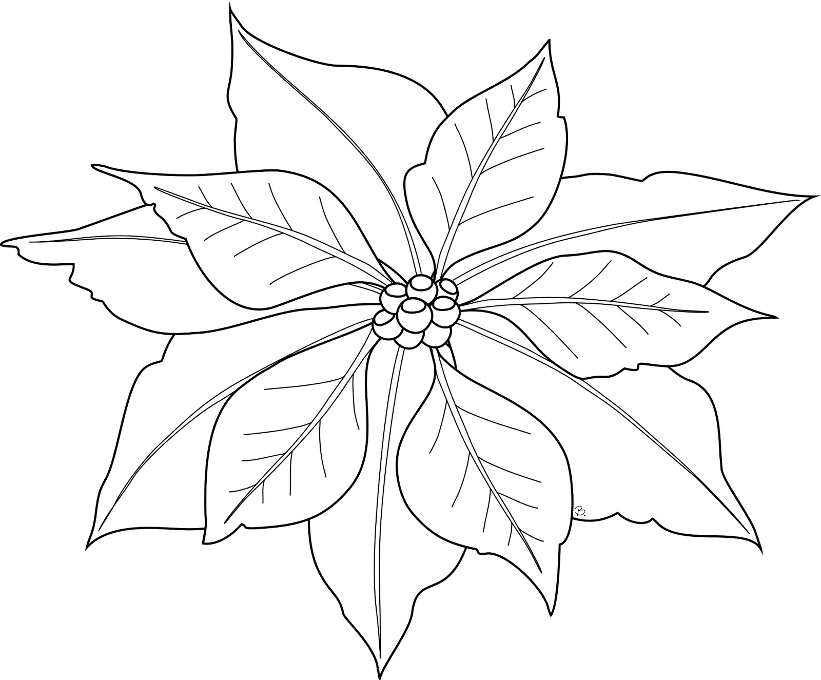 Free printable poinsettia coloring pages for kids