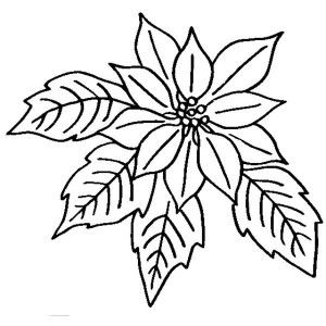 Poinsettia in ceramics coloring page color luna patroned de bordado a mano pintura en tela navidad bordado navidad