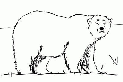 How to draw a polar bear