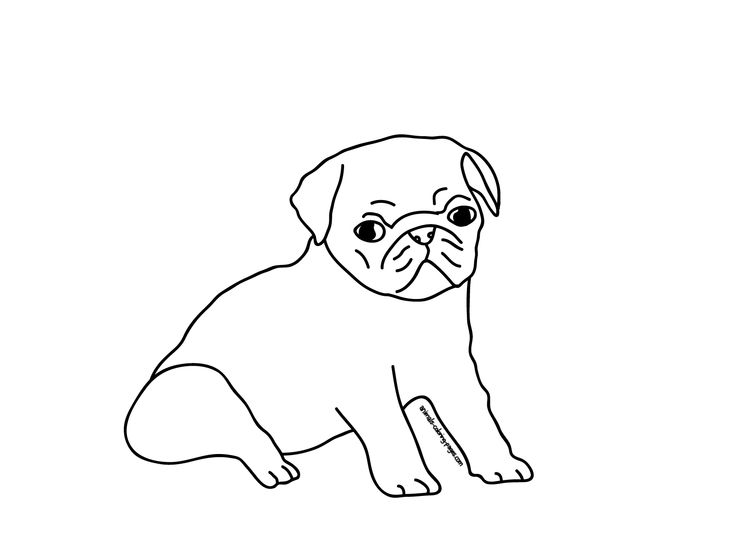 Printable coloring pages puppy pugs pug tattoo puppy coloring pages pugs