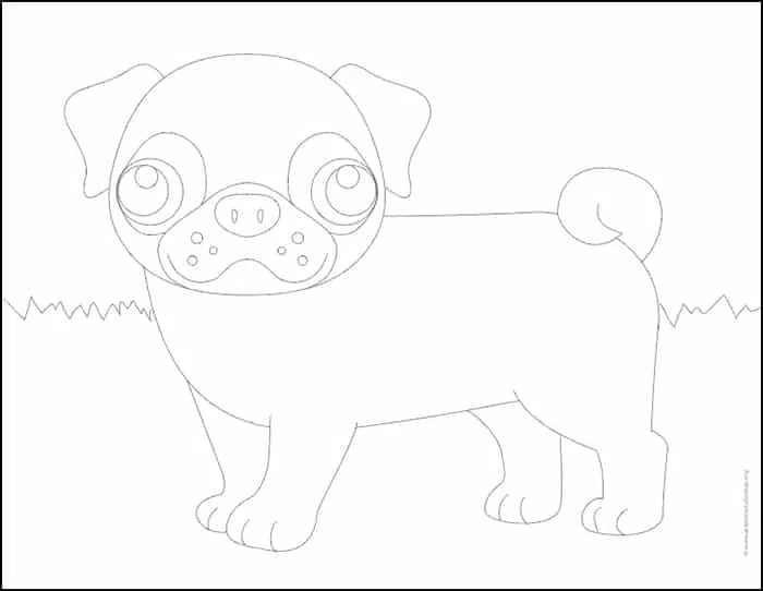 Easy how to draw a pug tutorial and pug dog coloring page