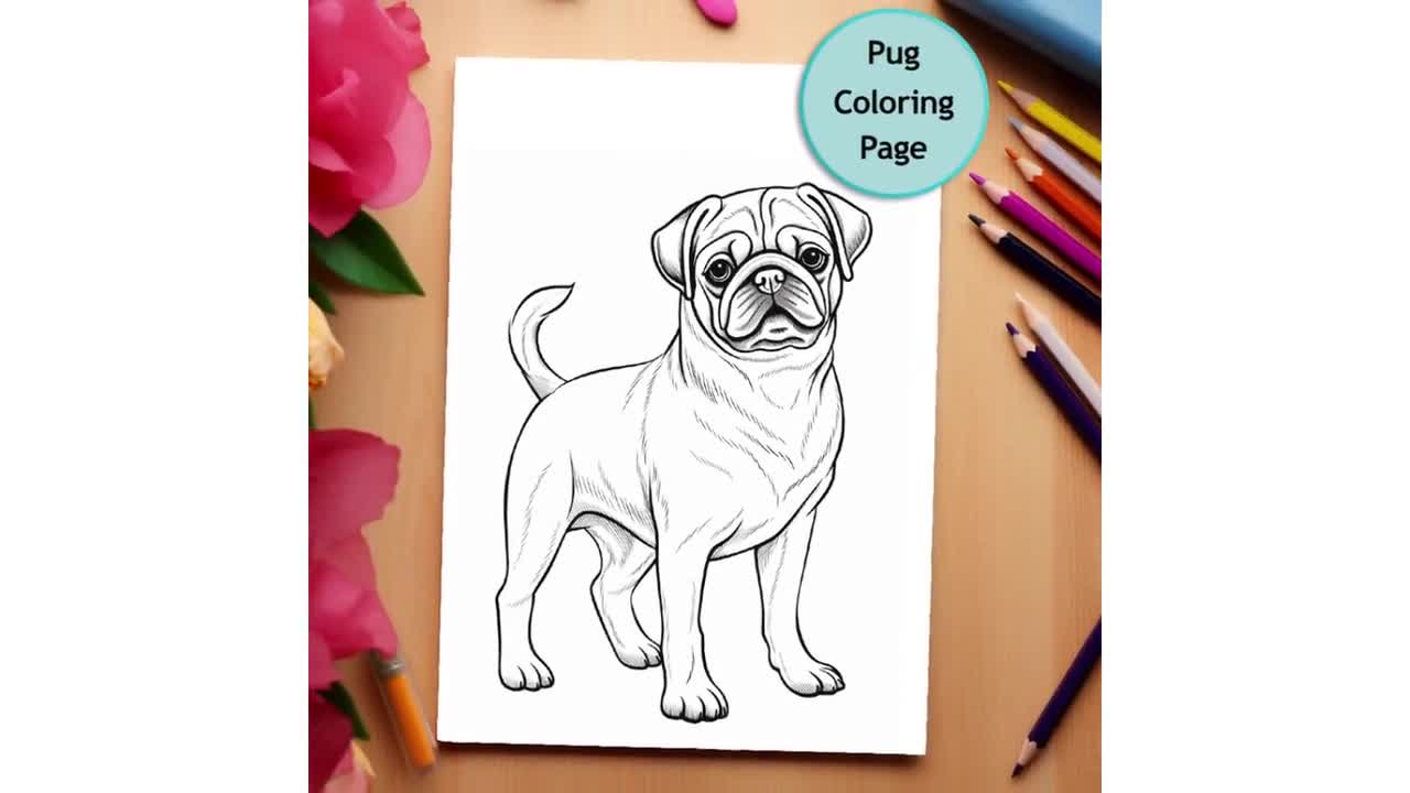 Pug dog coloring page dog coloring printable coloring page coloring for adults and kids png instant download mercial use