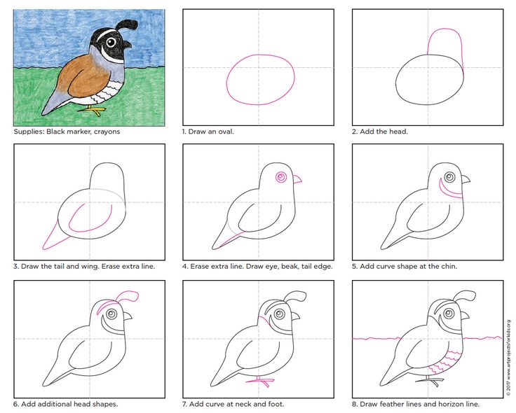 Easy how to draw a quail tutorial and quail coloring page kids art projects easy drawings drawings