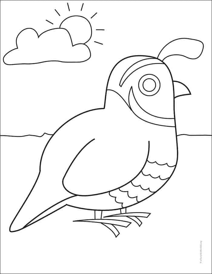 Easy how to draw a quail tutorial and quail coloring page coloring pages sunday school coloring pages quail