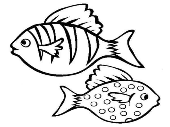 One fish two fish red fish blue fish coloring pages pãginas para colorir pãginas de colorir animais desenhos para colorir