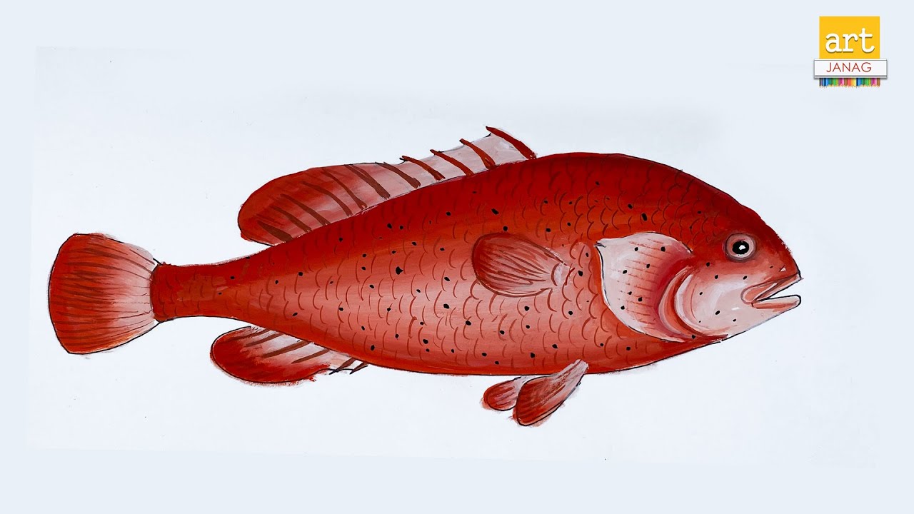 How to draw a red color fish ii how to draw an fish ii artjanag