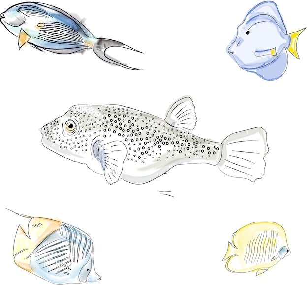 Page hand sketched redfish images