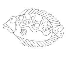 Red fish coloring pages