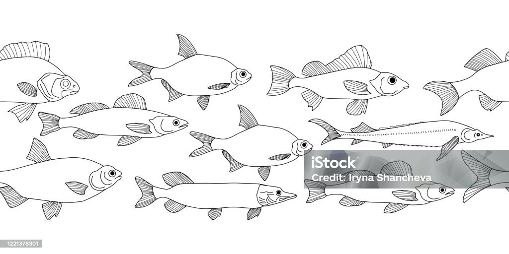 Doodle red fish sturgeon pike etc seamless border seafood hand drawing art line symbol of fishing club or online shop restaurant menu coloring page book vector stock illustration stock illustration