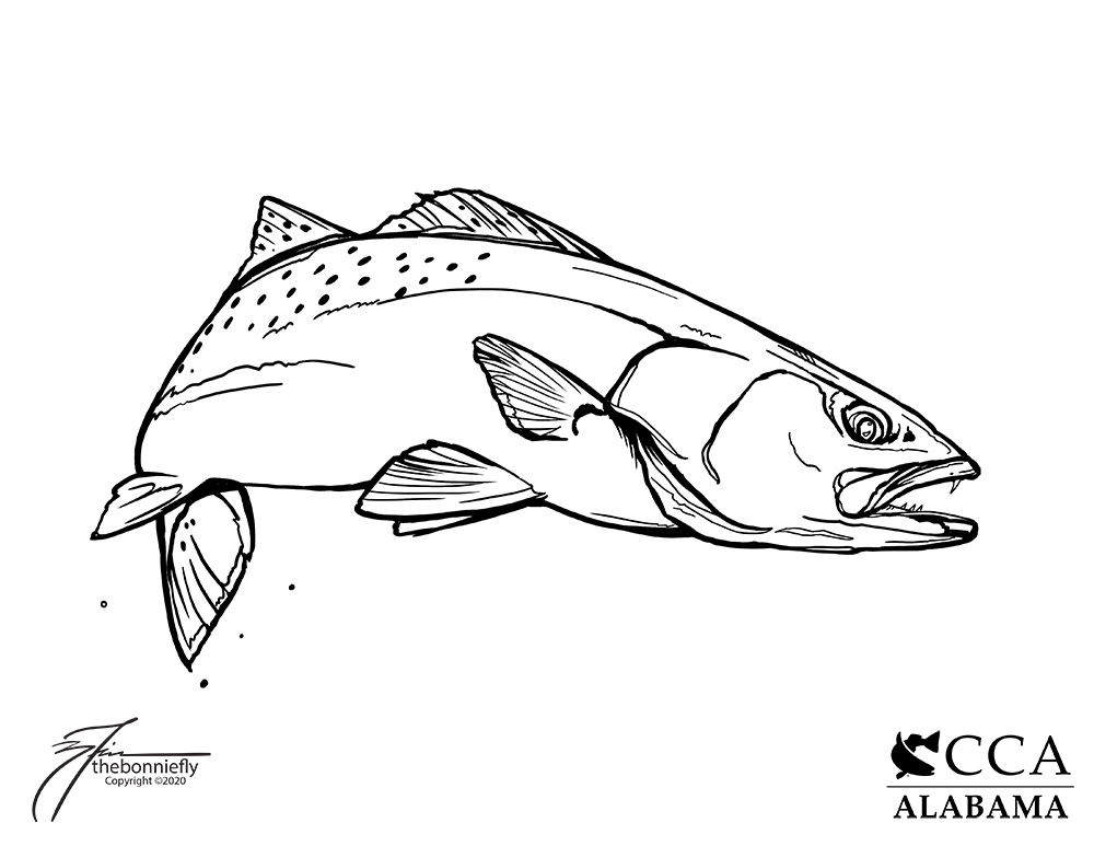 Cca virtual coloring book