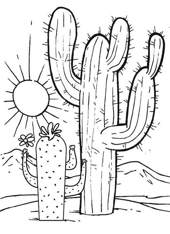 Fun cactus coloring pages for kids facts and adaptations coloring pages coloring book pages coloring books