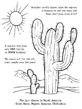 Saguaro cactus coloring sheet saguaro saguaro cactus coloring sheets