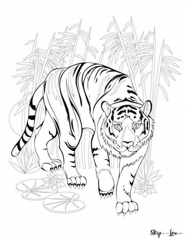 Tiger coloring pages skip to my lou