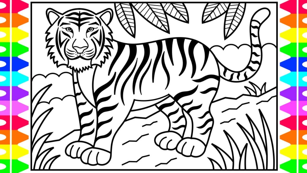 How to draw a tiger for kids ðð tiger drawing for kids tiger coloring pages for kids