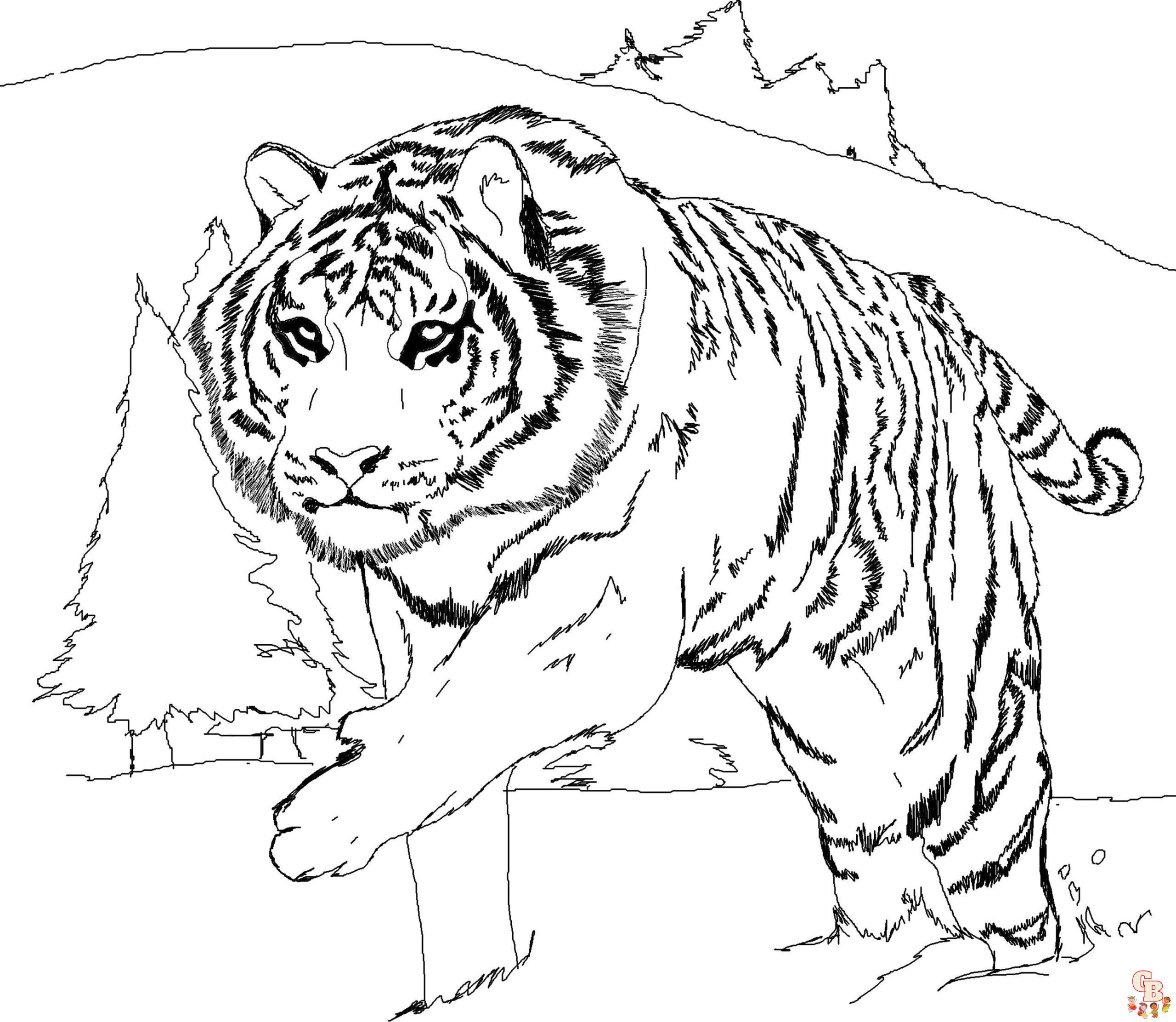 Beautiful amur tiger coloring pages free and printable