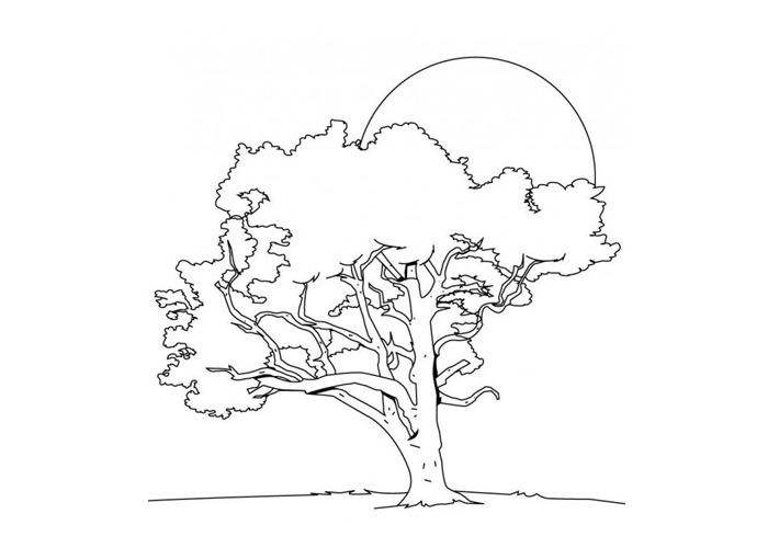 Spring tree coloring pages