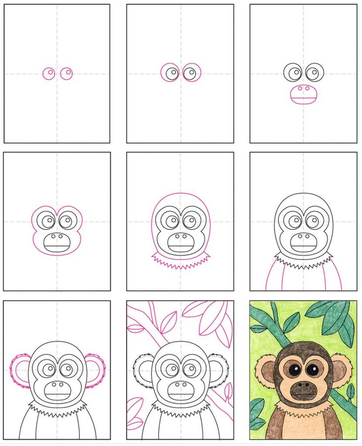 Easy how to draw a squirrel monkey tutorial and squirrel monkey coloring page monkey coloring pages monkey art projects elementary art projects