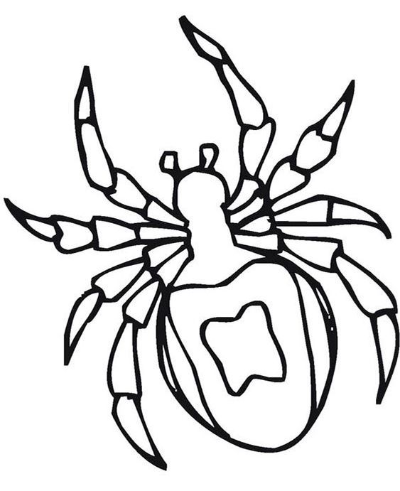 Free easy to print spider coloring pages spider coloring page insect coloring pages spider drawing