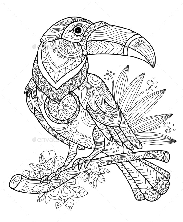 Toucan bird adult antistress coloring page vector vectors