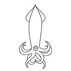 Top free printable squid coloring pages online