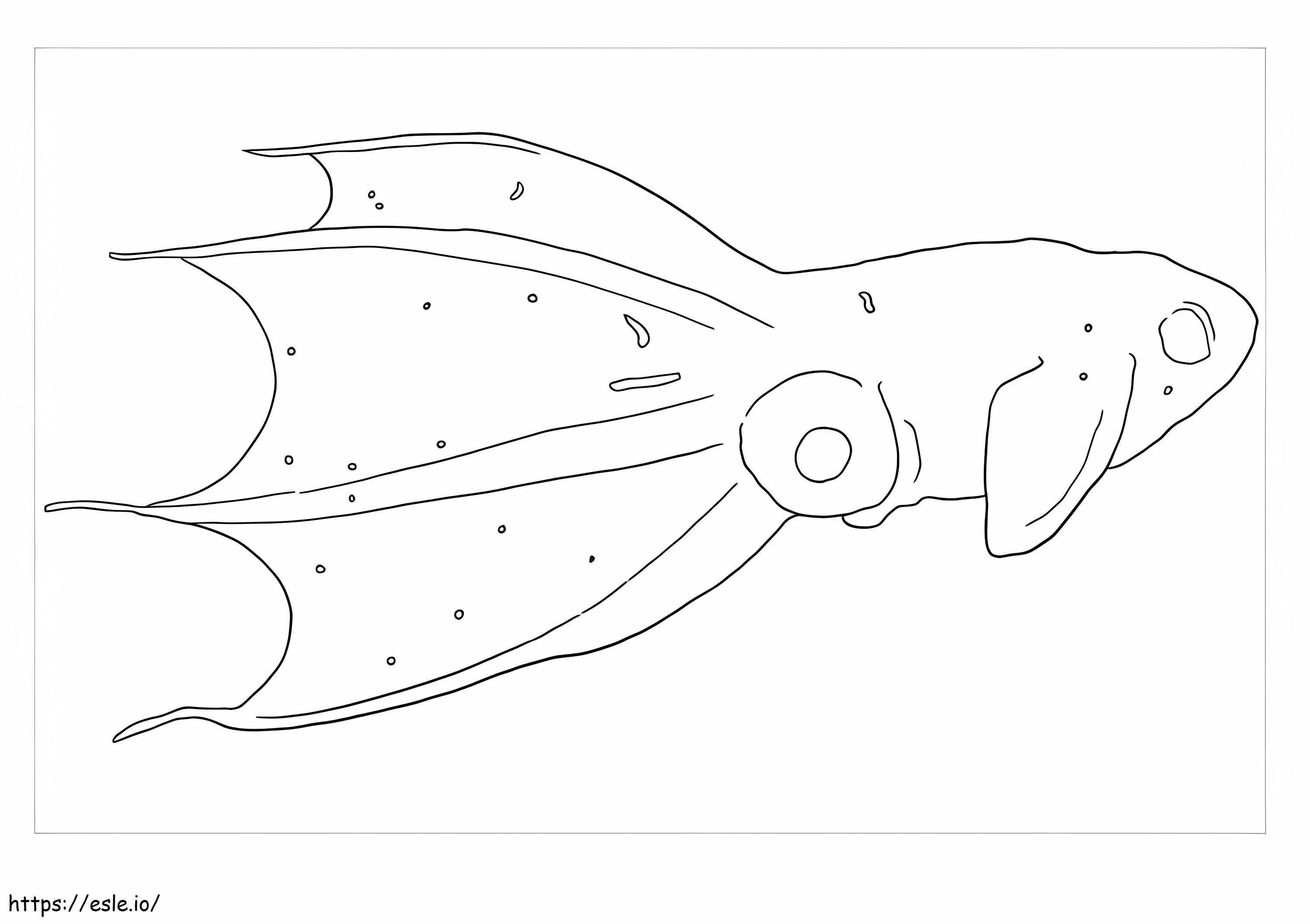 Printable squid coloring page