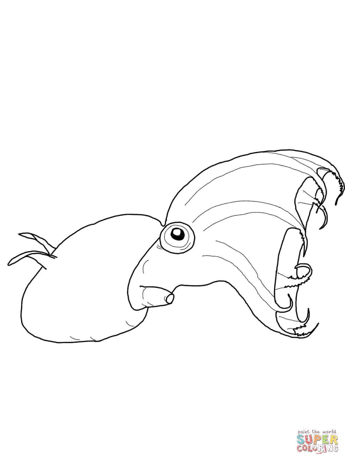 Vampire squid coloring page free printable coloring pages