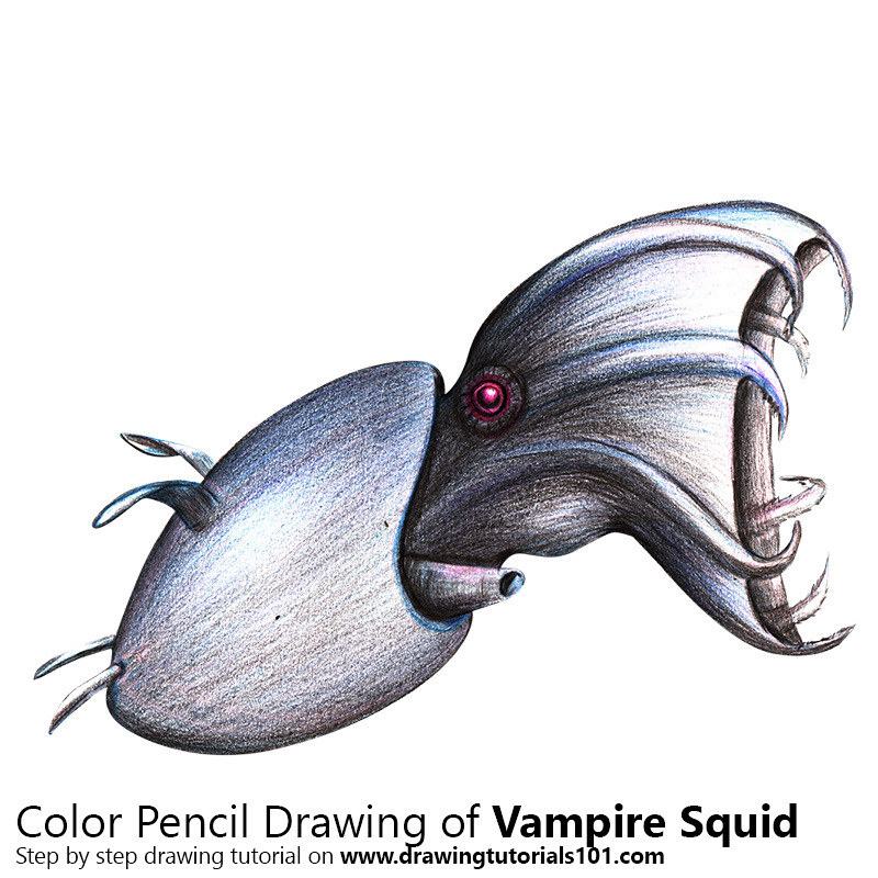 Vampire squid with color pencils time lapse step by stepâ