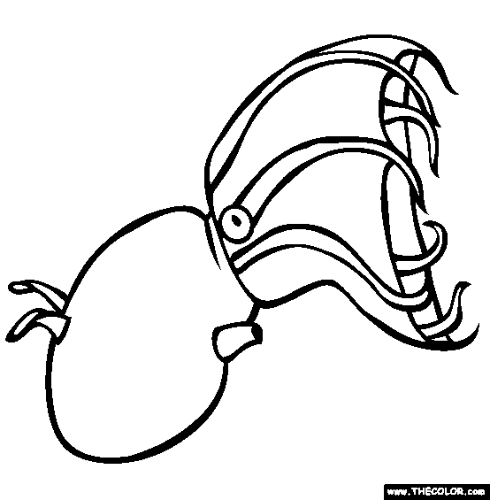 Vampire squid coloring page free vampire squid online coloring vampire squid sea creatures squid drawing