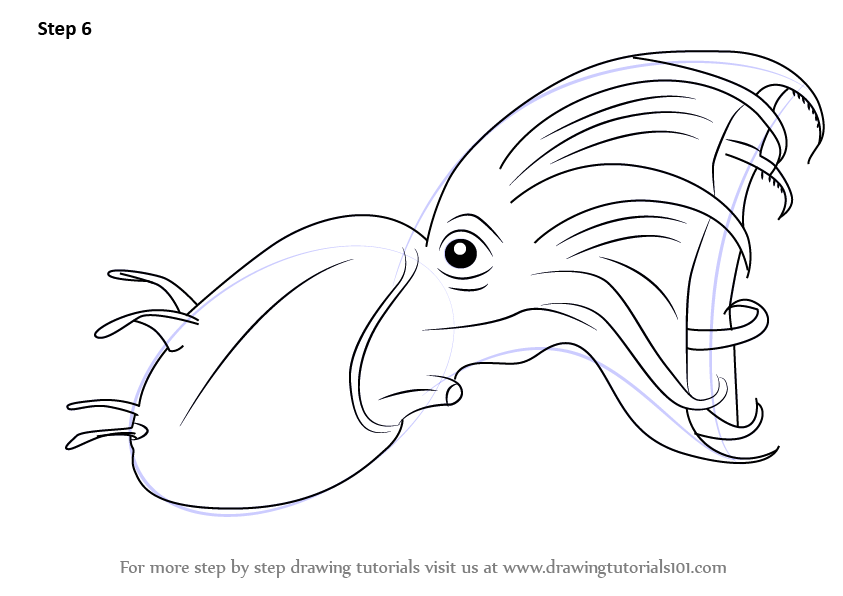 How to draw a vampire squid squids step by step