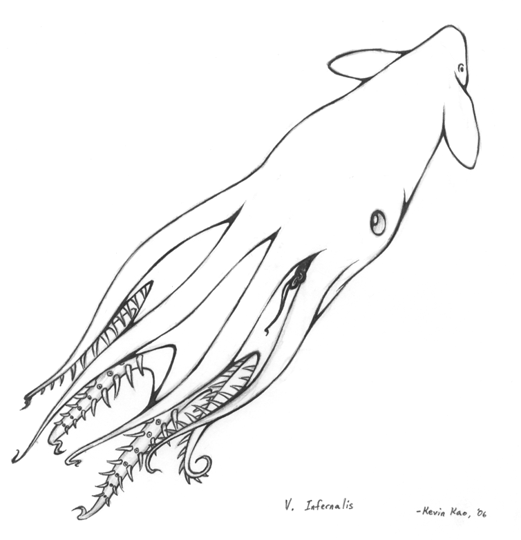 Vampire squid ahoy by lazydoodler on