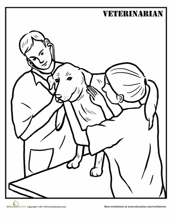 Veterinarian worksheet education munity helpers theme veterinarian munity helper