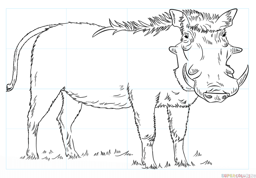 How to draw a warthog step by step drawing tutorials for kids and beginners drawing tutorial warthog bugs bunny drawing