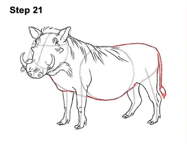 How to draw a warthog video step