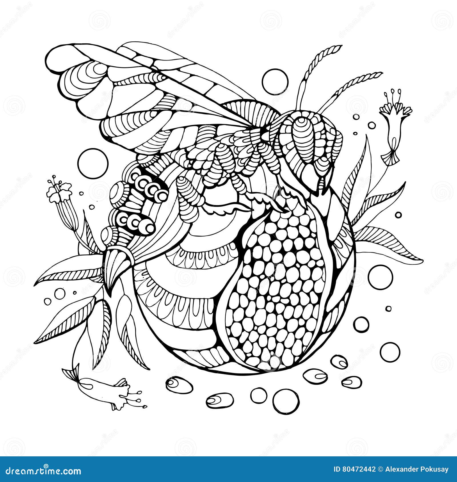Wasp coloring book for adults vector stock vector