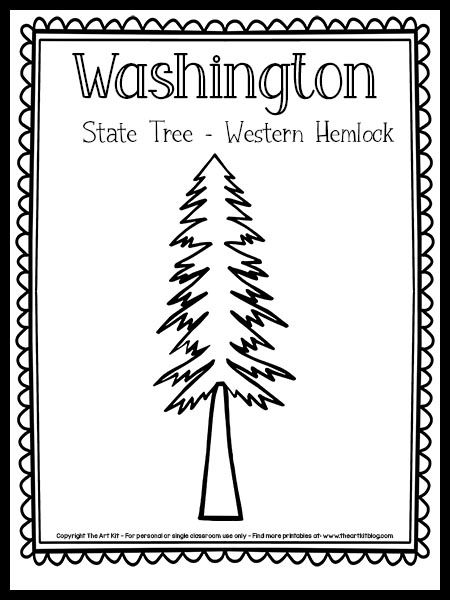 Washington state tree coloring page
