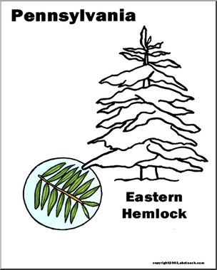 Pennsylvania state tree